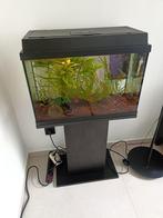 Aquarium 60L + meuble + matériel, Animaux & Accessoires, Poissons | Aquariums & Accessoires, Enlèvement ou Envoi, Comme neuf, Aquarium d'eau douce rempli