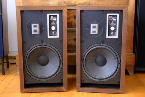 ESS Tempest Lab serie 1, Audio, Tv en Foto, Luidsprekerboxen, Gebruikt, Front, Rear of Stereo speakers, 120 watt of meer, Overige merken