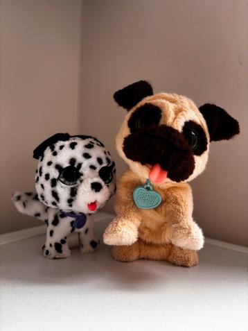 Interactieve honden beschikbaar voor biedingen