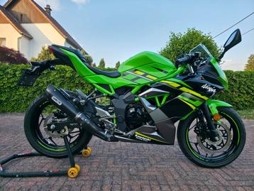 Kawasaki Ninja 125 - 2019 - 🔥Performance Pack🔥 - Topstaat! beschikbaar voor biedingen