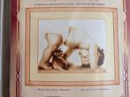 Kruissteekpakket 89, Ophalen of Verzenden, Nieuw