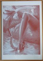 CAMILLE DE TAEYE / PIED-DE-BICHE / KLEURZEEFDRUK / 64x45cm, Ophalen of Verzenden