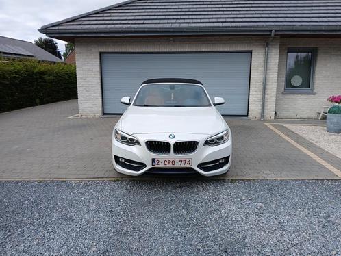 Bmw 218 cabrio  sport line, Auto's, BMW, ABS, Airbags, Airconditioning, Alarm, Bluetooth, Boordcomputer, Centrale vergrendeling
