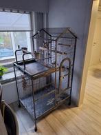 kooi papegaai, Dieren en Toebehoren, Ophalen, Gebruikt