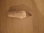 Fosiele mossasaurus tand, Verzamelen, Mineralen en Fossielen, Ophalen, Fossiel