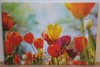 Jolie toile florale (tulipes) 70 cm x 50 cm, Ophalen, 50 tot 75 cm, 50 tot 75 cm, Print