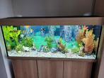 Aquariums en toebehoren te koop, Dieren en Toebehoren, Vissen | Aquaria en Toebehoren, Ophalen