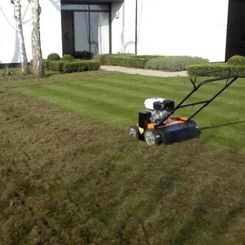 Tuinonderhoud - verticuteren - bomen vellen - tuinaanleg, Tuin en Terras, Overige Tuin en Terras, Nieuw, Ophalen