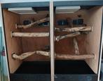 2 betonplex terraria 60x60x100 incl verlichting/warmtepaneel, Ophalen of Verzenden, Zo goed als nieuw, Terrarium of Paludarium