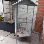 vogelkooi (voliere), Dieren en Toebehoren, Ophalen, Zo goed als nieuw, Aluminium, Vogelkooi
