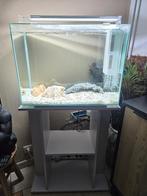 Aquarium en toebehoren (85liter) L61cm, B31cm, H45cm, Ophalen, Gebruikt