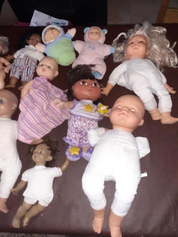 lot poupées + barbies + accessoires beschikbaar voor biedingen