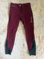 Cavallo rijbroek 36 bordeaux rot Calima Grip, Dieren en Toebehoren, Ophalen of Verzenden, Zo goed als nieuw