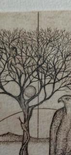 Ets havik boom 1979,  naakt in boom, Ophalen of Verzenden
