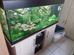 Juwel Aquarium 240 liter, Gebruikt, Ophalen, Gevuld zoetwateraquarium