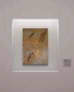 Jaimy Lee 'Erosion of time', Antiek en Kunst, Ophalen of Verzenden