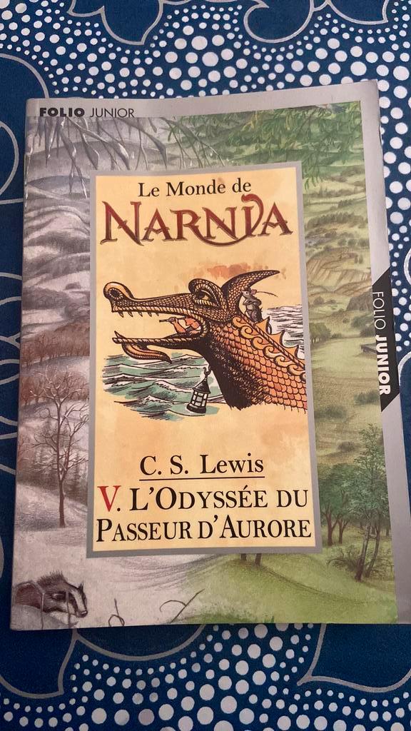 Les chroniques de Narnia. L'Odyssée du Passeur d'Aurore, Boeken, Sprookjes en Fabels, Ophalen of Verzenden
