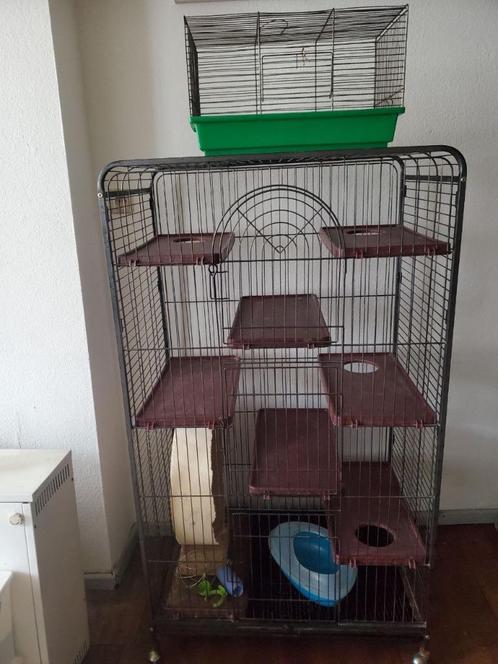 La Cage pour Rongeurs, Rats, Lapins, Furets, Chinchillas, Animaux & Accessoires, Rongeurs & Lapins | Cages & Clapiers, Comme neuf