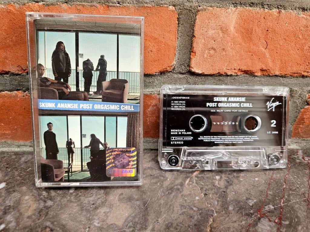 Skunk Anansie – Post Orgasmic Chill cassette | alternative r, Cd's en Dvd's, Cassettebandjes, Ophalen of Verzenden