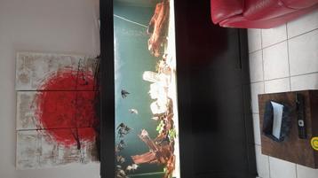 Groot aquarium 2m  beschikbaar voor biedingen