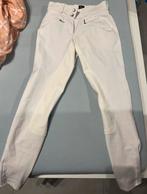 Witte rijbroek BR maat 36, Dieren en Toebehoren, Paardrijkleding, Ophalen of Verzenden, Zo goed als nieuw, Dames, Onderkleding