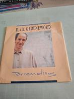 Raymond van groenewoud, Ophalen of Verzenden, Zo goed als nieuw