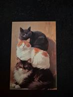 Postkaart katten, Verzamelen, Postkaarten | Dieren, Ophalen of Verzenden