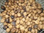 4 kilo walnoten verpakt per kilo aan 3 € per zak, Diversen, Levensmiddelen, Ophalen