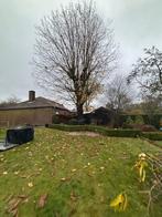 GRATIS OFFERTE, Tuin en Terras, Ophalen, Nieuw