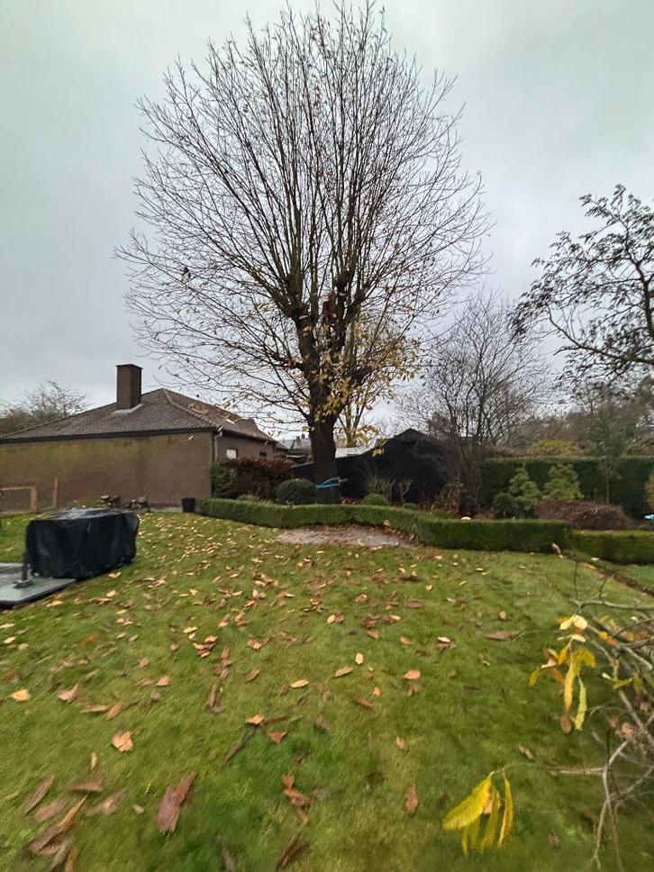 GRATIS OFFERTE, Jardin & Terrasse, Jardin & Terrasse Autre, Neuf, Enlèvement