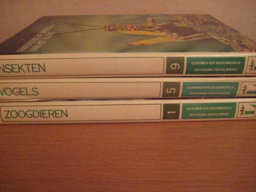 Encyclopedie : Vogels-Insecten-Zoogdieren – 3 delen, Livres, Encyclopédies, Comme neuf, Série complète, Animaux, Enlèvement ou Envoi