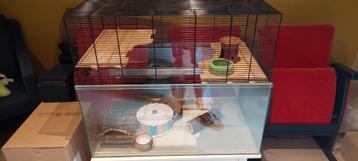 Hok/kooi hamsterscaping of ander knaagdier beschikbaar voor biedingen