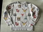 Truitje met diertjes maat 116, Kinderen en Baby's, Kinderkleding | Maat 116, Ophalen of Verzenden, C&A, Jongen, Trui of Vest