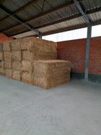 Tarwestro grote pakken, Ophalen