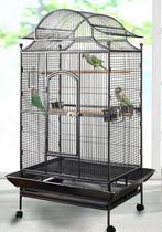 PAPEGAAIENKOOI KOOPDAGEN, Dieren en Toebehoren, Ophalen of Verzenden