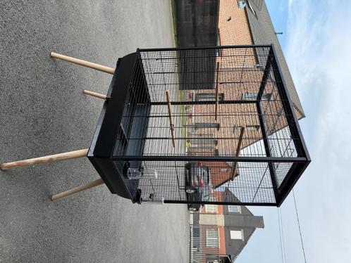 Cage oiseau, Dieren en Toebehoren, Vogels | Hokken en Kooien, Zo goed als nieuw, Vogelkooi, Overige materialen, Ophalen