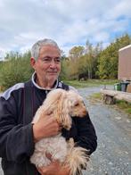 Vriendschap gezocht, Contacten en Berichten, Vriendschappen