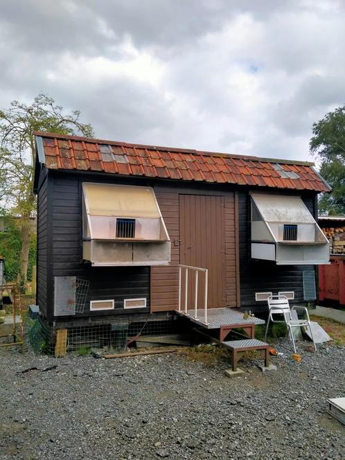 Duivenhok met zadeldak    8 jaar  oud, Animaux & Accessoires, Oiseaux | Pigeons