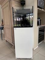 Red Sea Nano Peninsula G2 met meubel, Dieren en Toebehoren, Ophalen, Zo goed als nieuw, Leeg aquarium