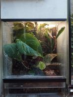 Paludaria ( terrariums), Dieren en Toebehoren, Ophalen, Gebruikt, Terrarium of Paludarium