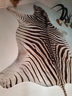 Zebrahuid (Burchell), Ophalen, Gebruikt, Wild dier, Overige typen