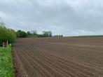 Landbouwgrond gezocht, Ophalen of Verzenden, Tuinbouwbedrijf
