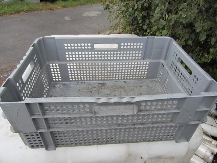 krat bakken plastiek kunststof plastic pvc alle maten 60x40, Jardin & Terrasse, Produits de culture, Comme neuf, Enlèvement