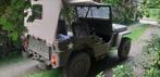 Jeep Willys, Autos, Jeep, Autres modèles, Achat, Particulier, 2200 cm³