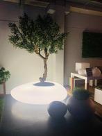 tuinverlichting, Enlèvement