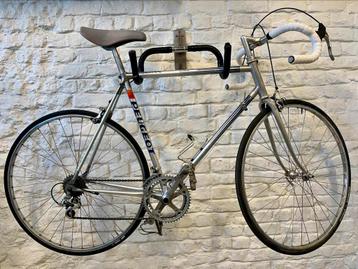 Peugeot Galaxie - maat 56 beschikbaar voor biedingen
