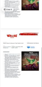 Plaatsen Walibi, Drie personen of meer, Arrangement, Ticket of Toegangskaart