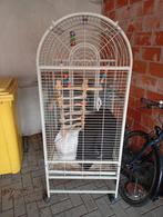 Groot vogelkooi met extra toebehoren, Ophalen of Verzenden, Zo goed als nieuw, Metaal, Vogelkooi