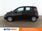 Fiat Panda 1.0 Mild-Hybrid (bj 2022), Auto's, Fiat, Voorwielaandrijving, Stof, Gebruikt, Panda