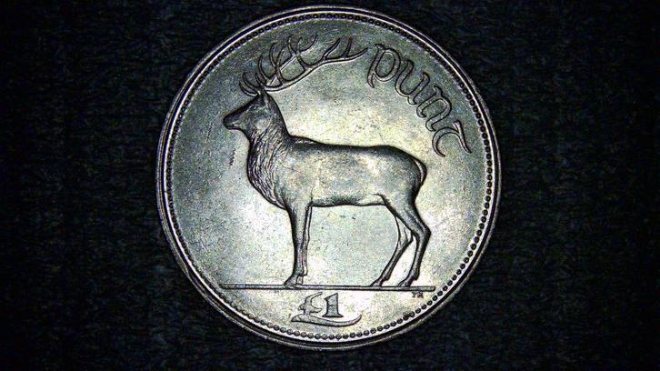 1 pond 1990 Ierland, Postzegels en Munten, Munten | Europa | Niet-Euromunten, Overige landen, Ophalen of Verzenden